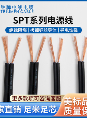 【厂家直销】双并线红黑线SPT-2-16A65*0.16AS平行线黑色