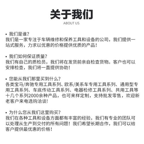 19 件套正时锁定工具组套TFSI EA888 1.8 R4 2.0 R4 VAG 系列汽修 - 图1