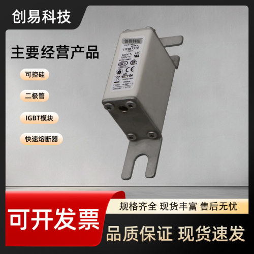 170M1308 170M1309 170M1310 170M1311 170M1312熔断器170M系列 - 图0