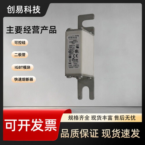 170M1308 170M1309 170M1310 170M1311 170M1312熔断器170M系列 - 图1