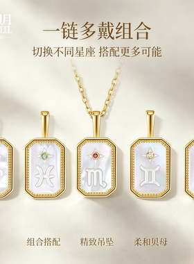 印记浮雕星座盾牌项链S925银