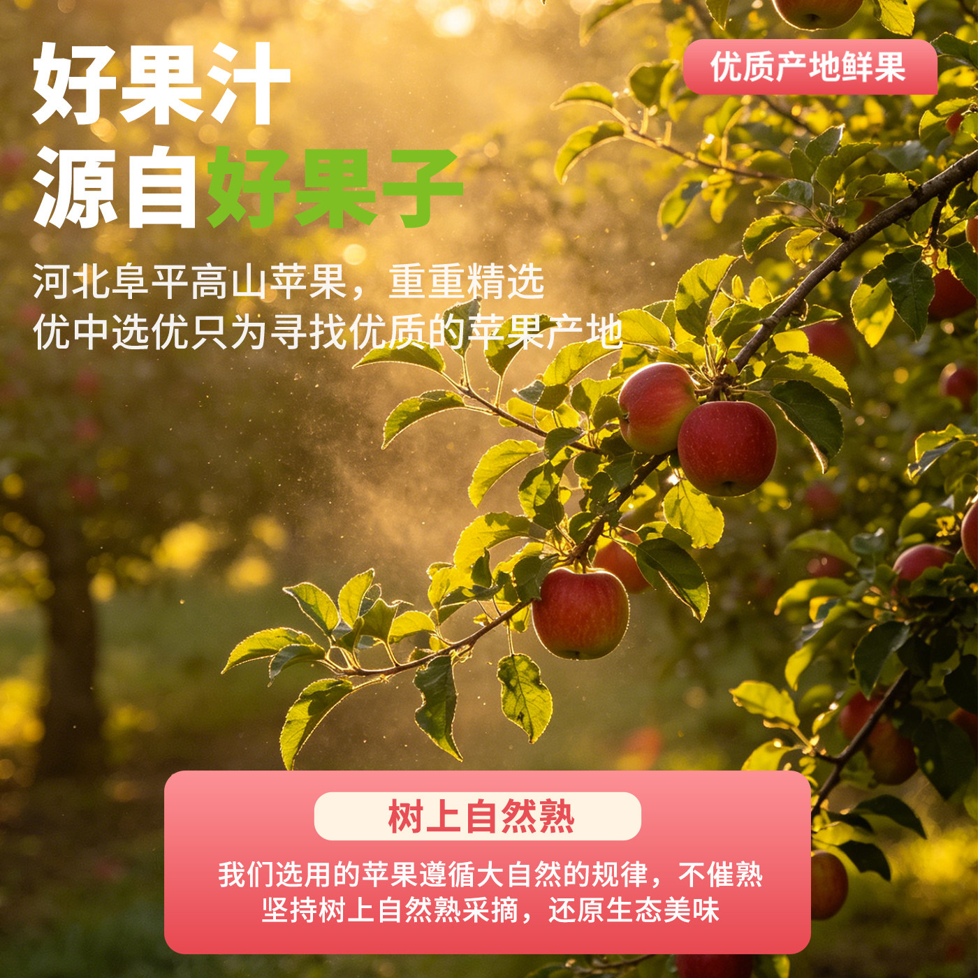 素材图