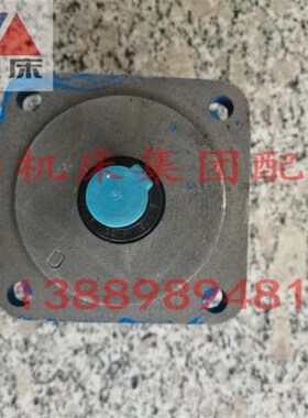 沈阳中捷镗床配件 TPX6111B TPX6113 油泵 YB1-6 叶片泵 YB1-4
