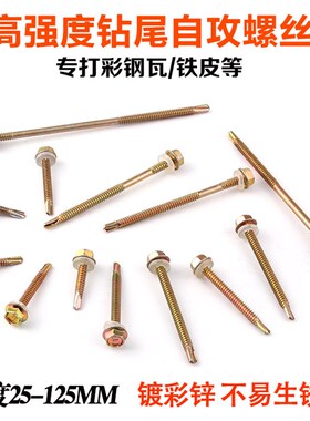 高强度外六角钻尾丝自攻螺丝钉燕尾钉铁皮彩色钢瓦角钢板自钻钉包