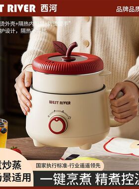 德国智能电煮锅多功能家用小火锅学生宿舍煮面不粘锅蒸煮一体电锅