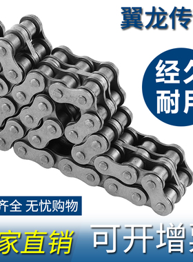 工业链条单排双排输送 设备传动链 4分08B 5分10A 12A 16A 20A