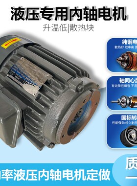 液压油泵电机组VP20+0.75KW1.5液压泵总成内轴电机液压站配件系统
