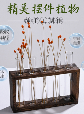 创意桌面玻璃花瓶摆件装饰品小号绿萝水培客厅插花水养小绿植器皿