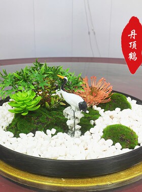 40cm圆桌中间摆件桌面海洋水景桌芯景观迎客松山水画大圆桌艺术