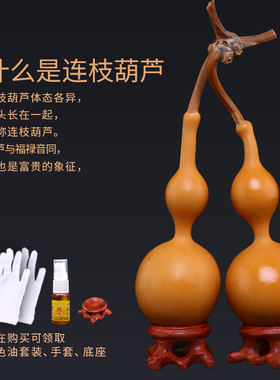 文玩连枝葫芦精品摆挂小手捻把件天然福禄八宝蚂蚁三庭连体带龙头