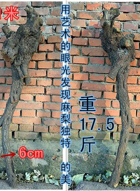麻梨疙瘩/火琉璃原料/拐棍/根雕自然原木/手锤/硬木/火琉璃/根瘤/