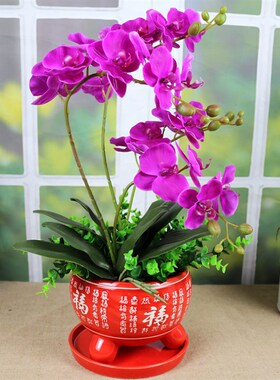 仿真花蝴蝶兰套装红色陶瓷花盆室内客厅绢花摆设婚庆新房装饰花艺