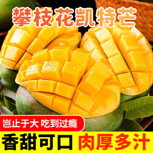 到手9.7！新鲜现摘凯特大芒果3斤