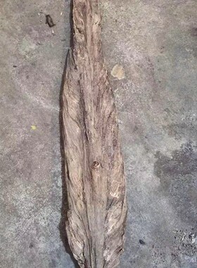 琥珀木松明子千秋大叶摆件沉化老料北沉香造型原木料高油茶台茶盘
