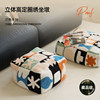 Living room sofa pouf carpet balcony French futon bay window tatami cushion floor