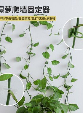 假花花藤爬上神器爬墙上绿箩固定器绿植攀爬墙上无痕挂钩粘爬藤杆