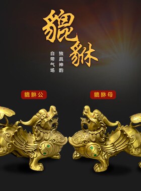 善缘堂黄铜方底貔貅聚财办公室家居工艺品礼品桌面铜披休摆件彩铜