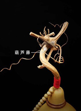 A6L天然开口带龙头真葫芦挂件大门口办公室横梁客厅卧室房梁玄关