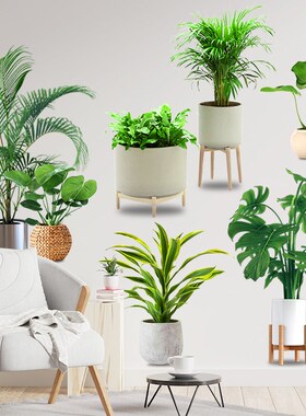 绿植盆栽墙贴房间装饰宿舍背景自粘绿植玄关贴画客厅沙发背景墙面