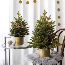 Christmas Decorations Home Hotel Decoration Mall Decorated Christmas Tree Desktop Christmas Tree Christmas Tree Small Naked Tree