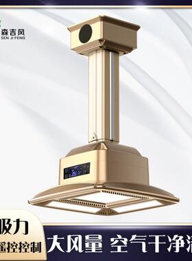 直排管道抽烟茶楼麻将灯外排棋牌室空气净化器吸烟灯麻将机净化灯
