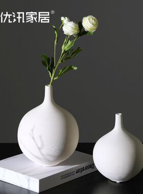 小口素烧白色陶瓷花瓶轻奢高级感北欧简约风客厅插花花器软装摆件