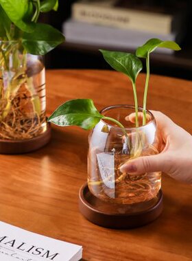 复古玻璃小花瓶家用客厅电视柜水培插花器摆件办公室桌面绿植花盆