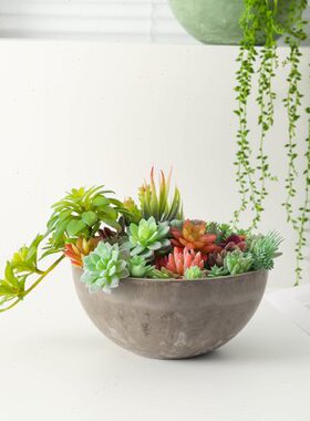 大口径绿萝水北欧风多肉水培麻绳盆式悬挂树脂花盆仙塑料垂吊加厚