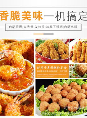赣云牌连续式油炸流水线大容量电加热薯条鸡柳狮子头温控油煎设备