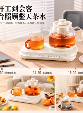 工位小型双区玻璃全自动养生壶