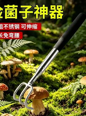 捡菌子装备找菌子神器新款不锈钢可伸缩不弯腰找菌子耙户外探险