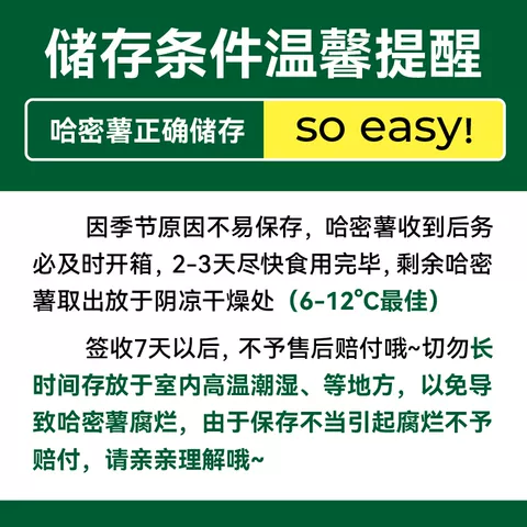 【所有女生直播间】绿行者哈密薯白薯白心地瓜番薯烤地瓜烤红薯 图片 5