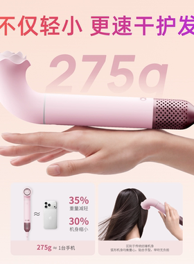 CHB玫瑰高速便携护发吹风机家用负离子静音速干电吹风筒新婚礼物