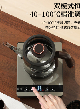 康乐纯钛烟灰色玻璃全自动上水壶