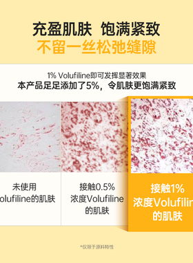 SUNGBOON EDITOR深层胶原蛋白300da抗皱弹力紧致补水保湿精华霜