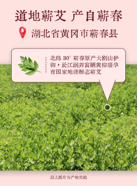乐摩生活蕲艾元气经络按摩锤