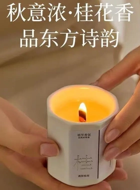 香薰蜡烛家用室内持久留香香氛精油高级淡香香水礼物摆件RW-HHH