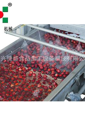 青梅速冻加工生产线 速冻水果设备 食品果蔬加工机器厂家直销