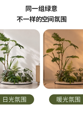 仿真植物龟背竹造景组合室内外园林景观酒店展厅商业定制装饰布置