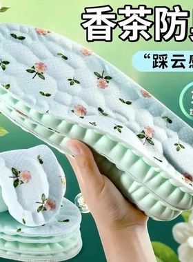 乳胶防臭吸汗透气软弹减震舒适四季山茶花男女士运动休闲用品