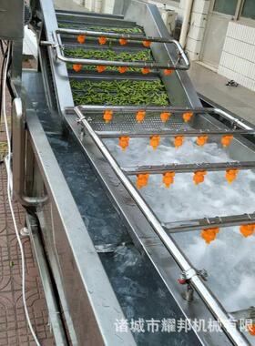 全自动毛豆清洗机 大型毛豆加工设备 不锈钢气泡式工厂洗毛豆机器