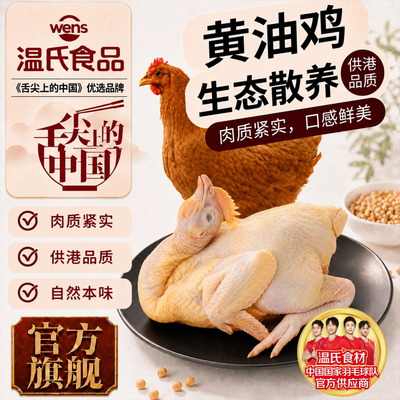 温氏生态黄油鸡散养土鸡供港品质生鲜鸡整只椰子鸡材料走地鸡顺丰