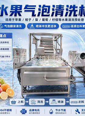供应全自动气泡喷淋清洗机 红枣气泡清洗机设备 连续式果蔬清洗机