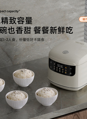 跨境2L迷你电饭煲2到3人多功能家用智能电饭锅小2人1-3人小型110v