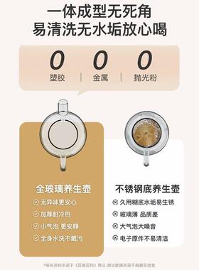 全玻璃煮水壶迷你养生壶家用多功能烧茶壶办公室小型煮茶器花茶壶