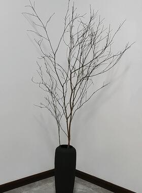 天然干树枝装饰摆件艺术造型造景服装店落地摆设花瓶干花真树枝