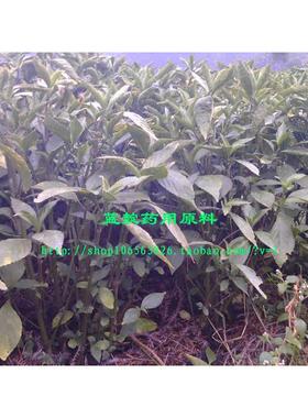蓝靛染料扎染蜡染札染纯植物蓝靛染料贵州土靛泥靛蓝染料 25公斤