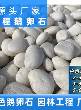 白色鹅卵石庭院景观园林工程专用石材铺路石排水沟树坑绿化带灰色