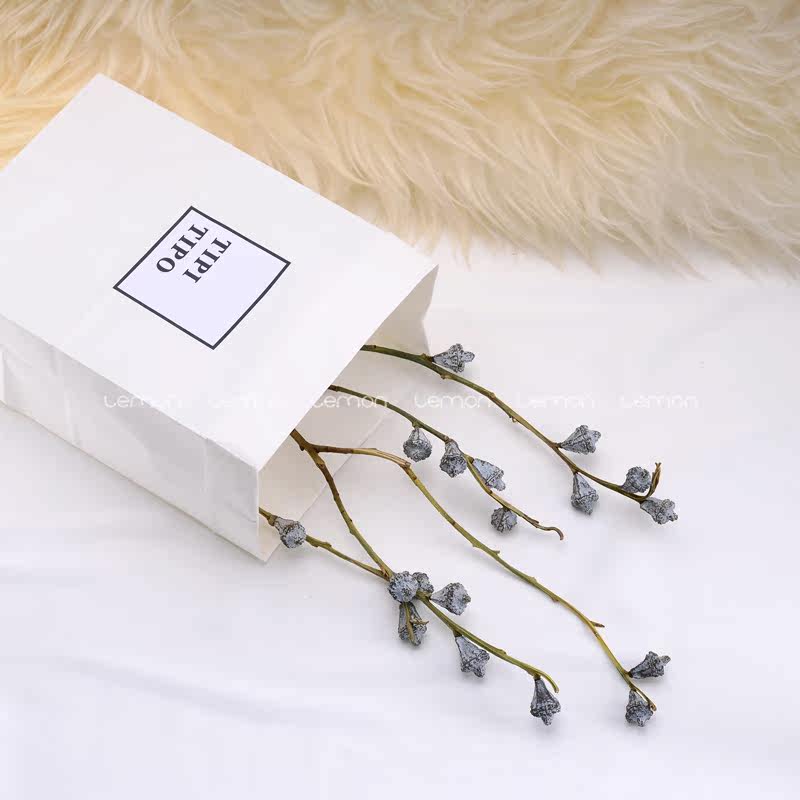 ins极简风格牛皮包装袋 淘宝产品拍摄拍照道具