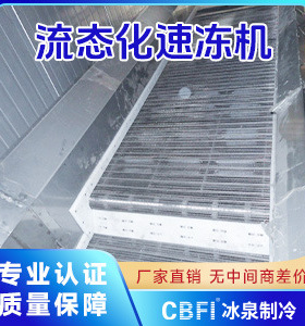 厂家直销CBFI卧式单冻机流态化速冻机可定制麻辣小龙虾隧道速冻机